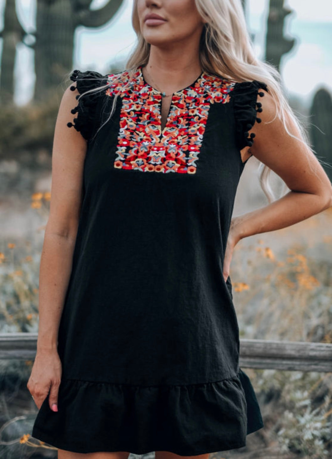 Black Embroidered Dress
